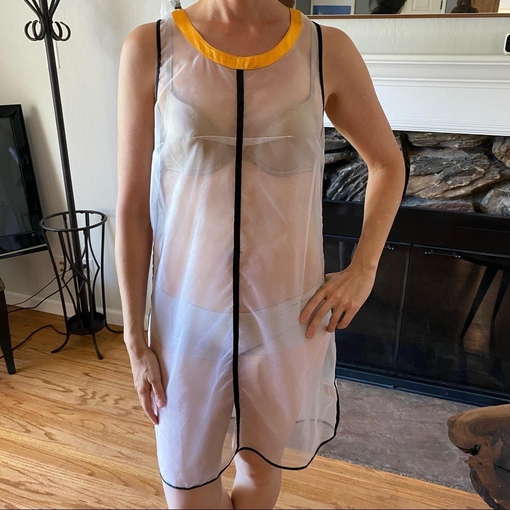 Liviana Conti Sheer Dress